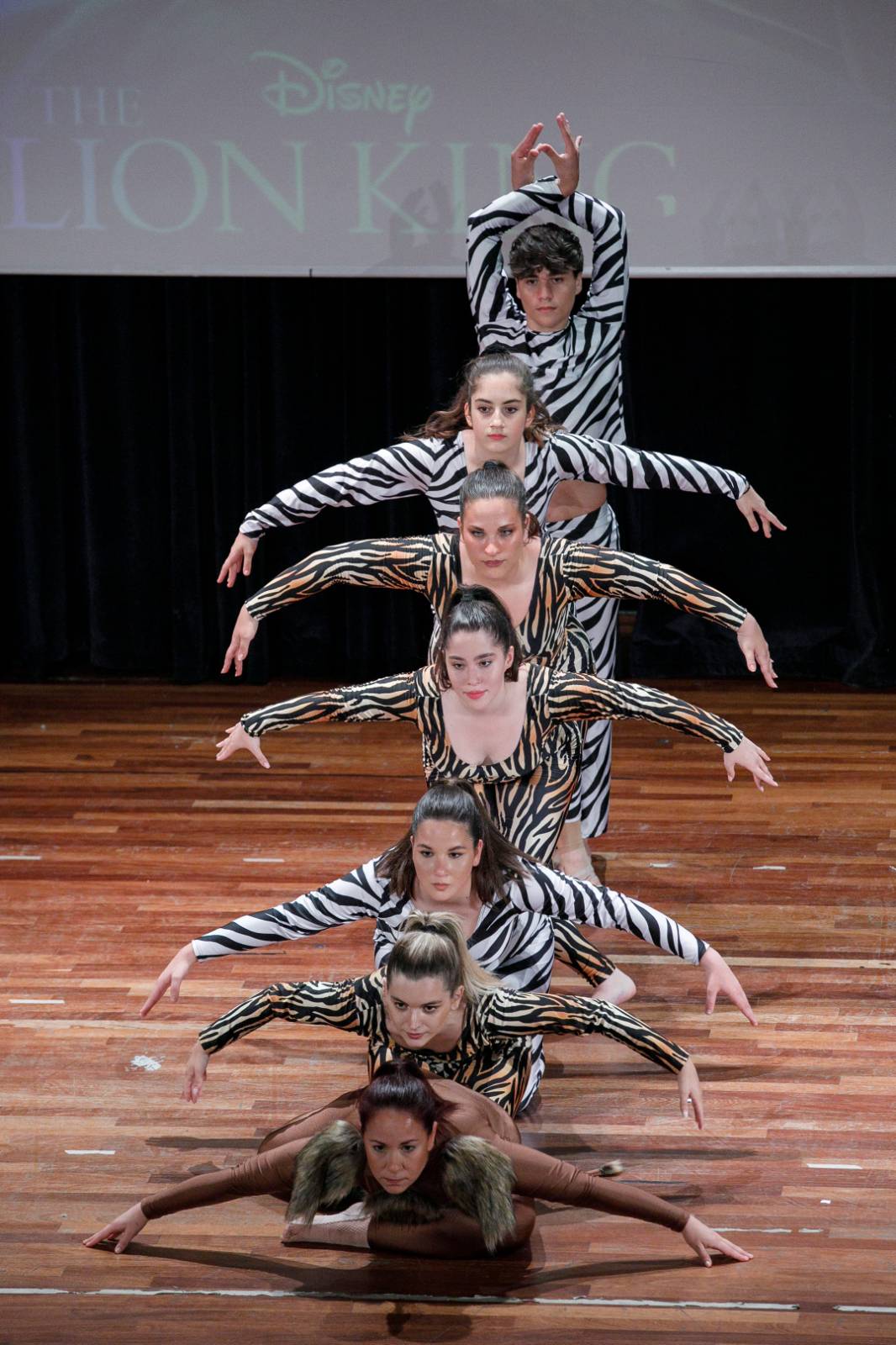 Dance Niκol Φωτογραφία Παράστασης 4