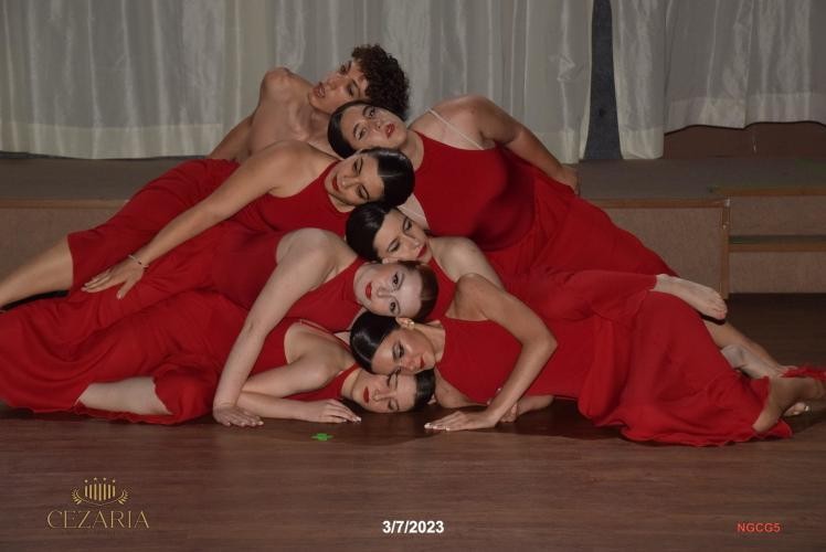 DanceArt Academy Ioannina Φωτογραφία Παράστασης 1