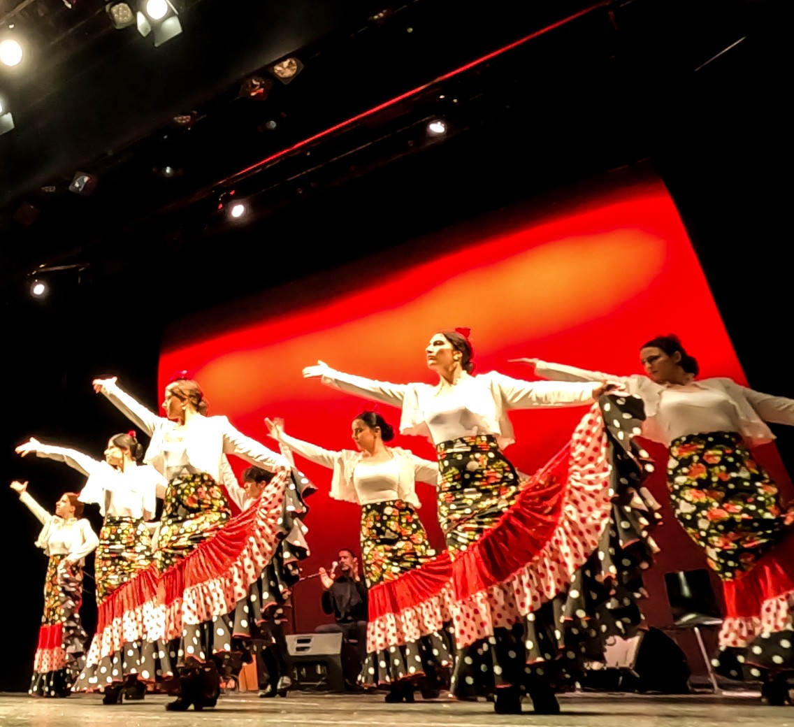 Flamenco Solea Φωτογραφία Παράστασης 1